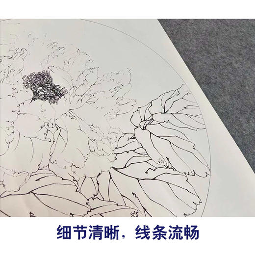 【有步骤、大彩图】李晓明工笔画白描底稿牡丹鹦鹉图花鸟线稿KG17 商品图4