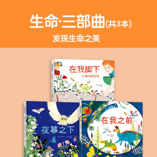 阿卡狄亚童书馆绘本花园（精装共25册）绘本图画书幼儿园大中小班 商品图4