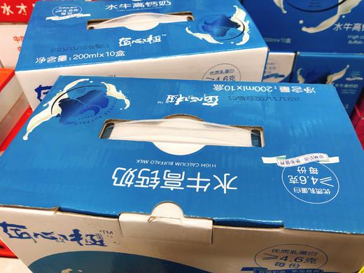 水牛高钙奶一箱（拼团） 商品图1