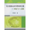 化石能源走向零排放的关键--制氢与CO2捕捉/乔春珍 商品缩略图0