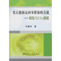 化石能源走向零排放的关键--制氢与CO2捕捉/乔春珍 商品图0