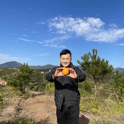 【有机认证】赣南老树脐橙  3公斤/5公斤/10公斤 商品图12