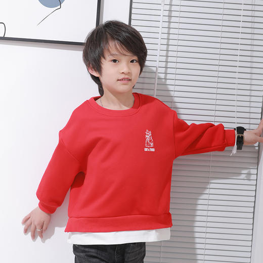 反季清仓！龙之涵 中小童儿童风琴摆印花加绒卫衣 时尚甜美童装 婴幼儿A类标准 商品图3