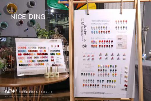 网红款日式119色 商品图3