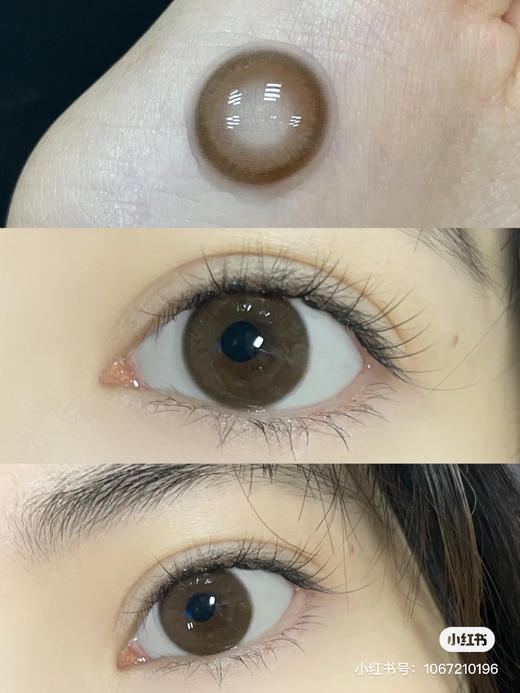  年抛 Cookieyo 乌龙曲奇 14.2 着色13.4【325-375/400/450/700缺货】
奶茶小灯泡 商品图0