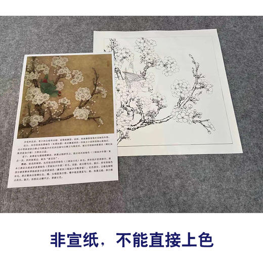 【有步骤、大彩图】李晓明工笔画白描底稿斗方小品《宋人梨花鹦鹉》花鸟线稿KG21 商品图2