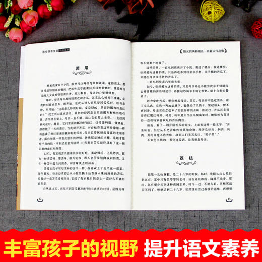 六年级下册同步阅读 全3册 小学生语文课本作家作品系列 北京的春天 阳光的两种用法 匆匆 老师推荐阅读畅销9-12岁儿童文学故事书 商品图4