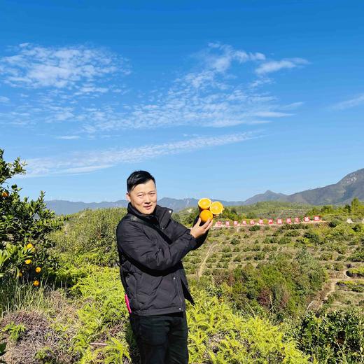 【有机认证】赣南老树脐橙  3公斤/5公斤/10公斤 商品图13