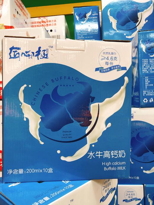 水牛高钙奶一箱（拼团） 商品图4
