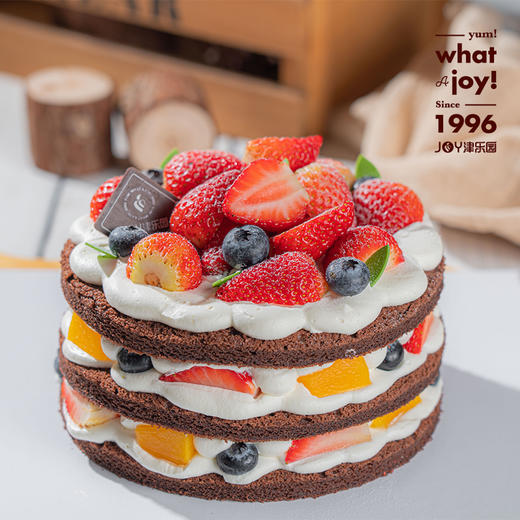 巧克力裸蛋糕 商品图0