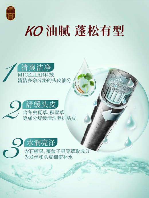 LG 睿嫣润膏头皮专护净爽洗发水250ml 商品图2