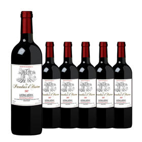 【整箱购买】枫卡斯霍斯城堡-悖论红葡萄酒 Le Paradoxe d'Hosten 750ml*6