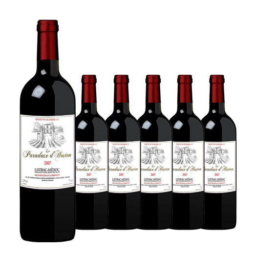 【整箱购买】枫卡斯霍斯城堡-悖论红葡萄酒 Le Paradoxe d'Hosten 750ml*6 商品图0