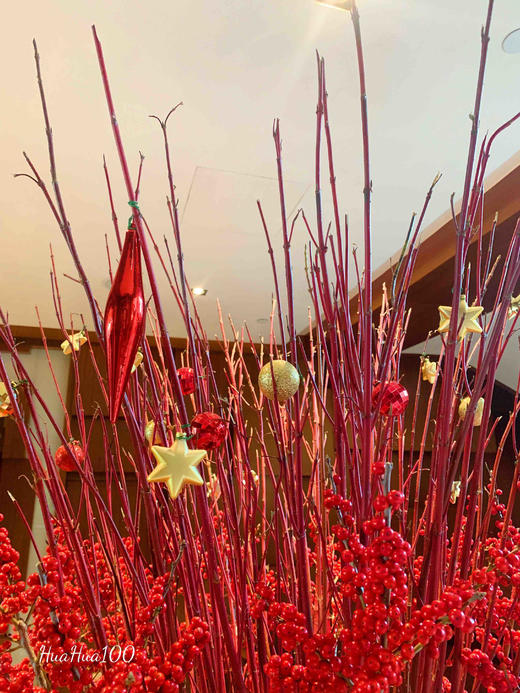 新年圣诞布置丨冬青插花（含盆器高约1.8米） 商品图2