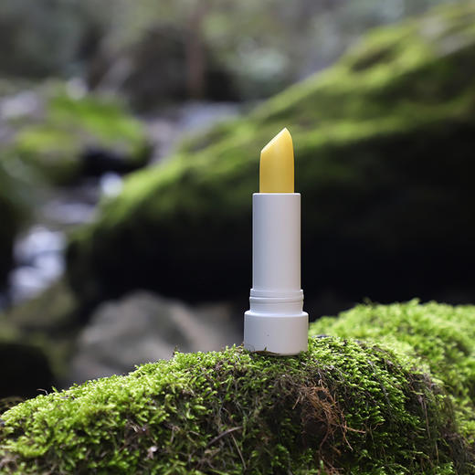 精选 | 花憩森林蜂蜜唇膏  深度滋养 3.8g/支 商品图5