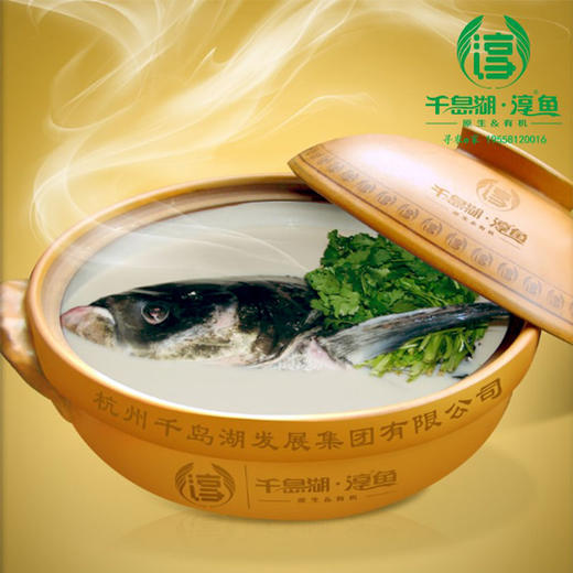 包邮到家！千岛湖鲢鳙（九斤左右）巨网捕鱼 鲜活捕捞 商品图3