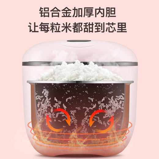 艾贝丽 | 1.6L智能电饭煲XH-16小家电 商品图11