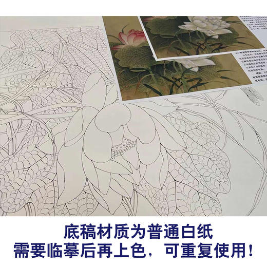 【有步骤、大彩图】李晓明工笔画白描底稿斗方小品《临余稚荷花蜻蜓》临摹勾线花鸟线稿KG23 商品图3