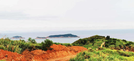 宁德黄花鱼鲞黄花鱼【0防腐 国家地理标志产品】50米以下海水养足300天 烹饪简单大黄鱼250g/条 商品图8