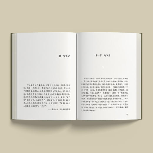 《陀思妥耶夫斯基精选集》（全7册）：《群魔》《罪与罚》《卡拉马佐夫兄弟》（上下册）《被侮辱与被损害的人》《白痴》《地下室手记：陀思妥耶夫斯基中短篇小说集》 商品图11