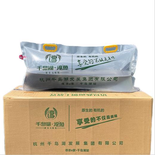 包邮到家！千岛湖鲢鳙（九斤左右）巨网捕鱼 鲜活捕捞 商品图0