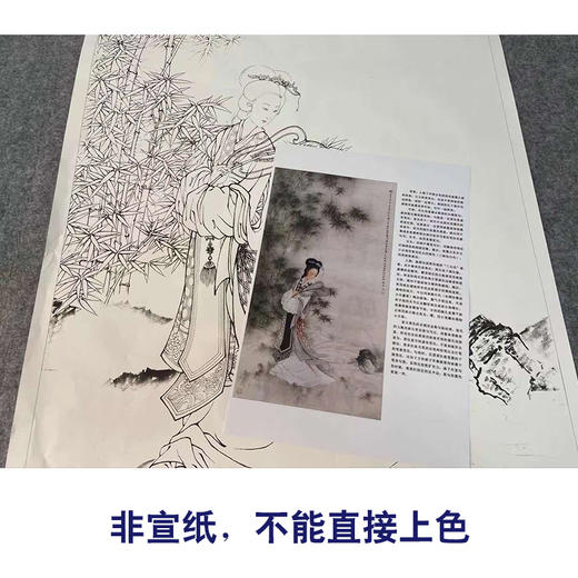 【有步骤、大彩图】李晓明竖幅工笔传统仕女人物画白描底稿《临王叔晖仕女图》KG22 商品图2