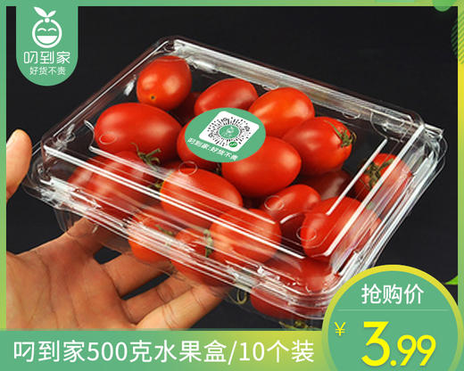 叼到家500克水果盒/10个装 商品图0