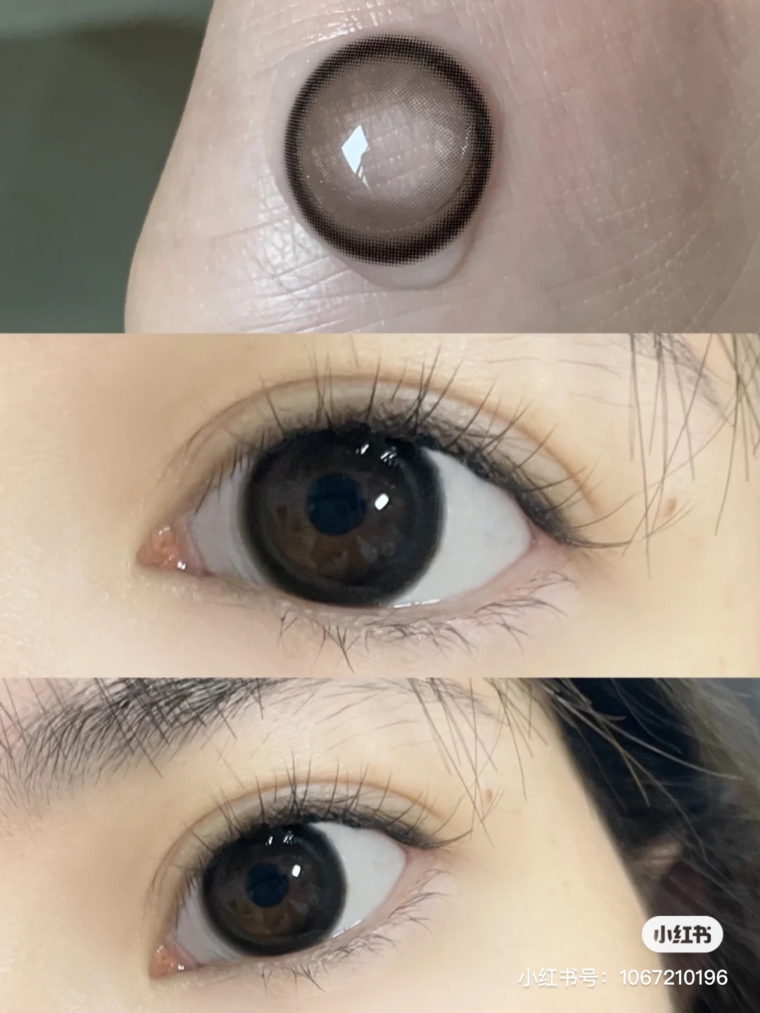 【日抛/年抛】 Clairecolor  高光黑 14.5 着色13.7【225/250/300-350/425-475/600-1000缺货】