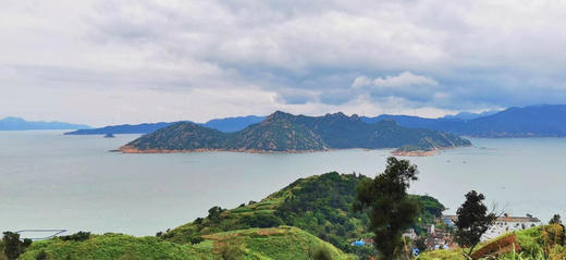 宁德黄花鱼鲞黄花鱼【0防腐 国家地理标志产品】50米以下海水养足300天 烹饪简单大黄鱼250g/条 商品图9