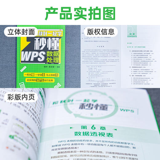 【秋叶图书】和秋叶一起学 秒懂WPS数据处理 商品图7