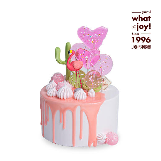 【JOY-火烈鸟】一生南飞不回头 只有你深得我心意 商品图0