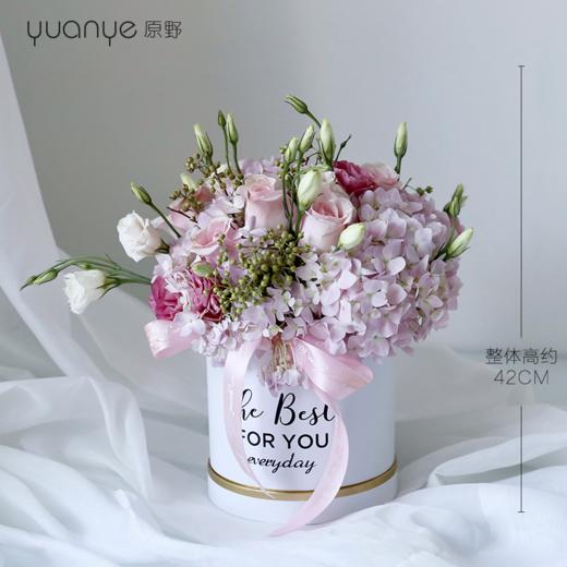 抱抱桶 商品图0