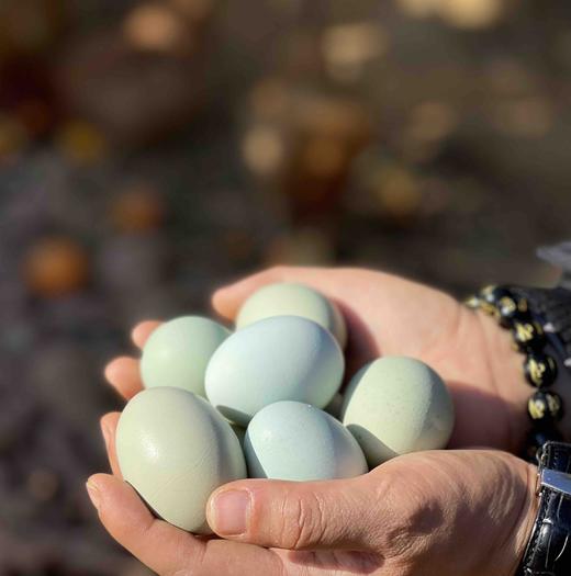 深山散养全绿壳土鸡蛋（30枚单个重40g-45g) 商品图0