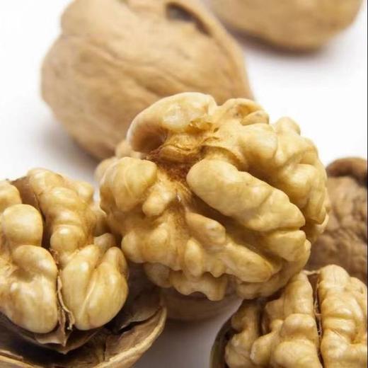 【泾川馆-艺果优品】甘肃老树山核桃10斤装净重9斤 商品图2