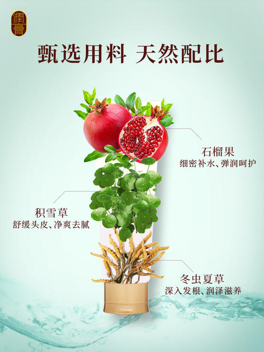 LG 睿嫣润膏头皮专护净爽洗发水250ml 商品图3