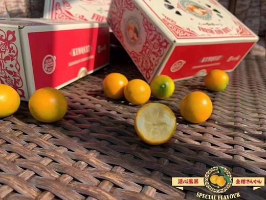 【润肺佳品】甜～融安滑皮金桔🍊 商品图0