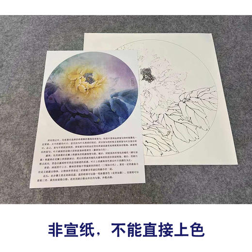 【有步骤、大彩图】李晓明工笔画白描底稿牡丹鹦鹉图花鸟线稿KG17 商品图2