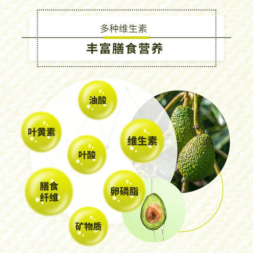 多斐牛油果油100ML【3瓶装/件】（一件起订） 商品图2