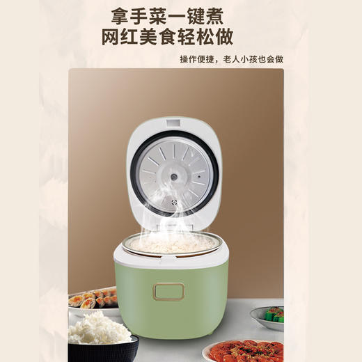艾贝丽  | 降糖饭煲ABL-FB50小家电 商品图5