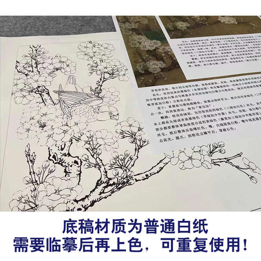 【有步骤、大彩图】李晓明工笔画白描底稿斗方小品《宋人梨花鹦鹉》花鸟线稿KG21 商品图3