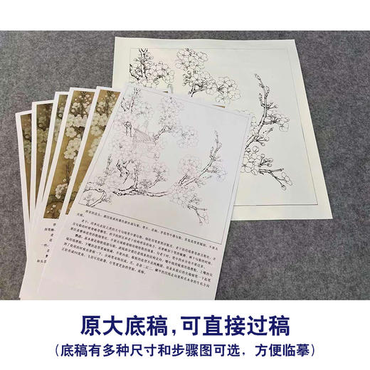【有步骤、大彩图】李晓明工笔画白描底稿斗方小品《宋人梨花鹦鹉》花鸟线稿KG21 商品图1