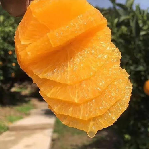 【仅69元抢10斤礼品大果】赣南脐橙礼盒装 商品图3