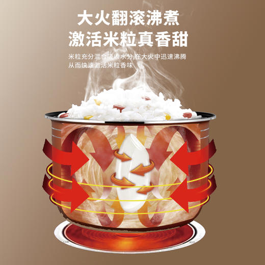 艾贝丽  | 降糖饭煲ABL-FB50小家电 商品图2