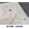 【有步骤、大彩图】李晓明工笔画白描底稿小品《胜葛巾》牡丹花鸟线稿KG20 商品缩略图4