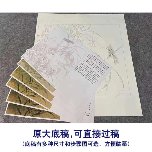 【有步骤、大彩图】李晓明工笔画白描底稿斗方小品《临余稚荷花蜻蜓》临摹勾线花鸟线稿KG23 商品图1