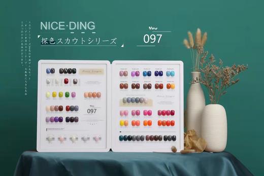 奈诗丁探色294色系列 商品图4