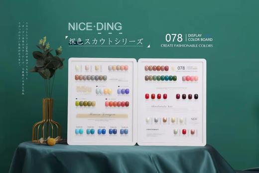 奈诗丁探色294色系列 商品图3