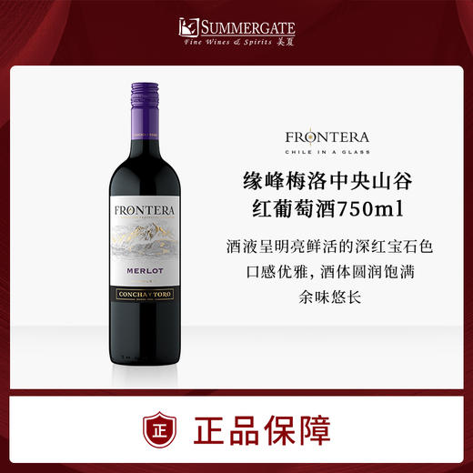 进口智利缘峰梅洛红葡萄酒750ml瓶装官方正品包邮精选葡萄酒 商品图0