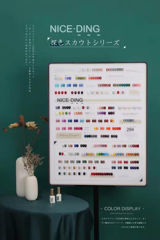 奈诗丁探色294色系列 商品图1