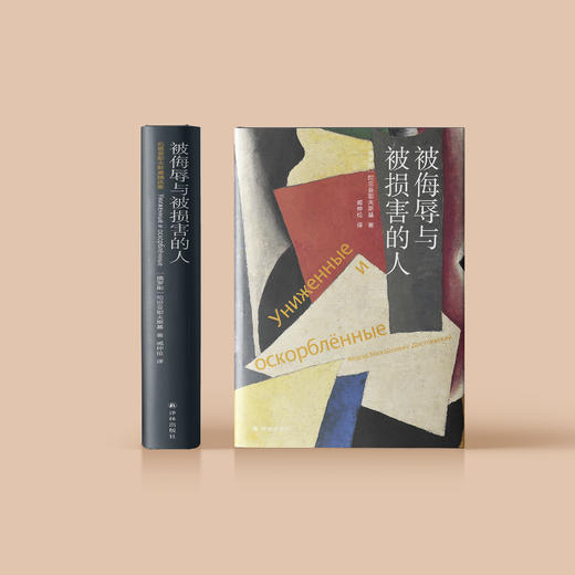 《陀思妥耶夫斯基精选集》（全7册）：《群魔》《罪与罚》《卡拉马佐夫兄弟》（上下册）《被侮辱与被损害的人》《白痴》《地下室手记：陀思妥耶夫斯基中短篇小说集》 商品图6